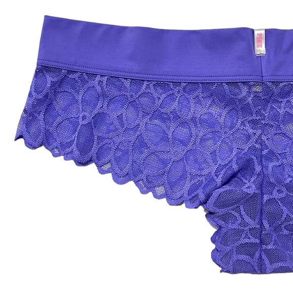 VS PINK 2016 Vintage Extra Low Rise Cheekster Semi-sheer Mesh Floral Print Panty - Picture 12 of 16